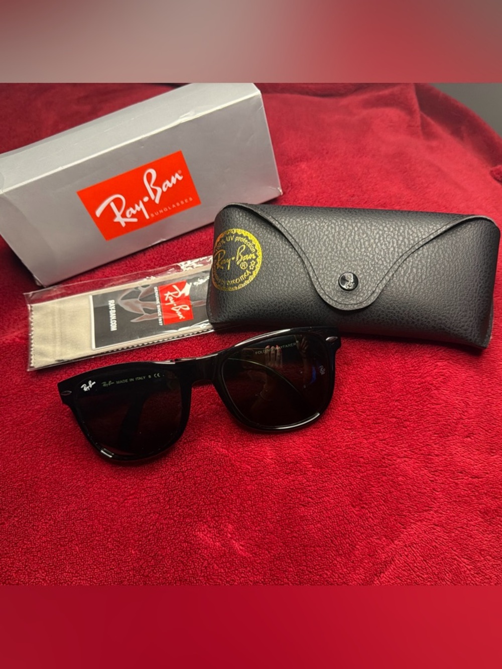 Ray-Ban Black Sunglasses with Black Case